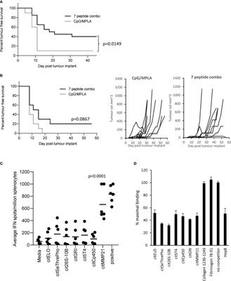 Citrullinated Epitopes Identified on Tumour MHC Class II by Peptide Elution Stimulate Both Regulatory and Th1 Responses and Require Careful Selection for Optimal Anti-Tumour Responses